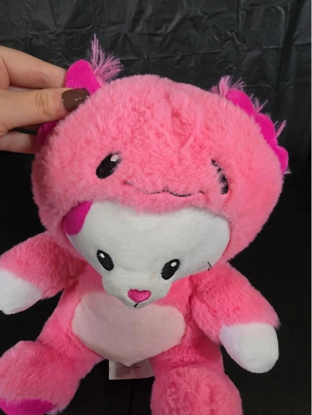 N/A cat axolotl